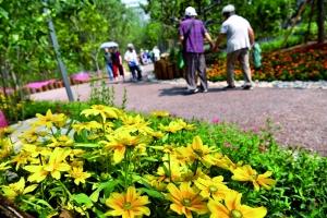 点击进入下一页