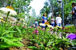 点击进入下一页