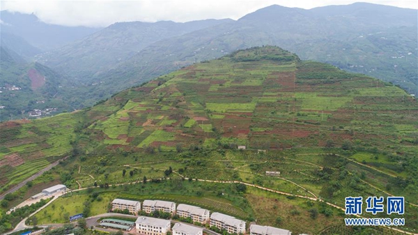 1123160283_15322571785361n 1123160283_15322571785361n