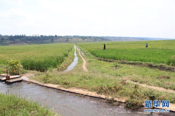 1123160924_15322687773461n 1123160924_15322687773461n