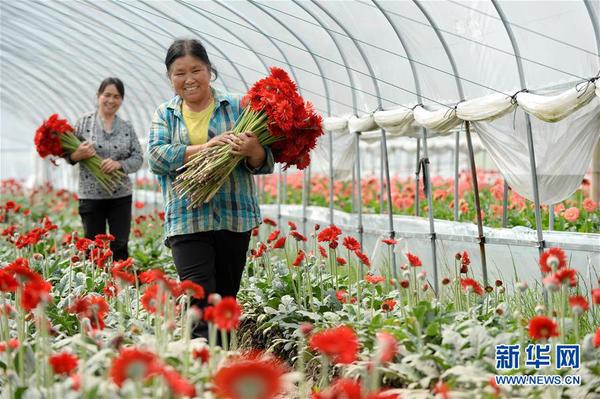 1123156659_15320965964631n 1123156659_15320965964631n