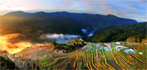 u=2093242272,3077098545&fm=27&gp=0 u=2093242272,3077098545&fm=27&gp=0