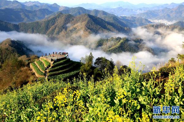 64006a2f4d5c1c1181d214 64006a2f4d5c1c1181d214