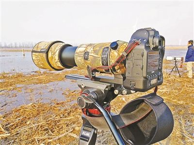 老人公园拍荷花6万摄影器材被抢 北京警方介入调查