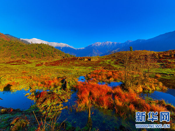 1119294771_14696717655461n 1119294771_14696717655461n