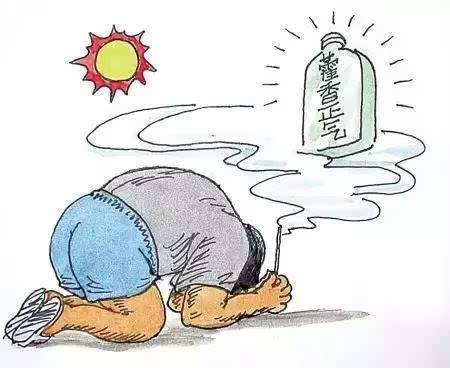 藿香正气 藿香正气