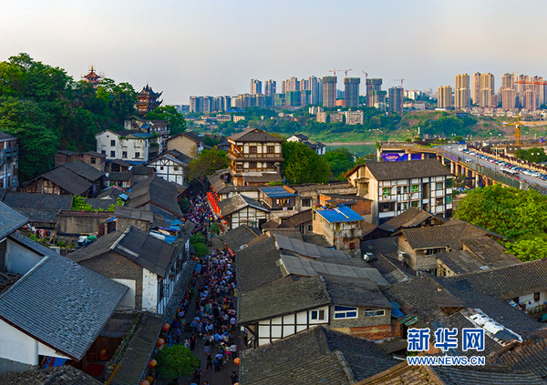 146223681180148638 146223681180148638