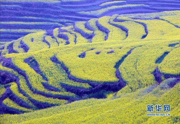 Img366779060 Img366779060