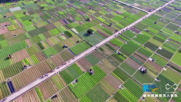 2890_5477238_436573 2890_5477238_436573