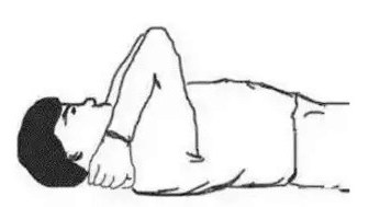 10514611699802525879 10514611699802525879