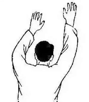 4257630045658589748 4257630045658589748