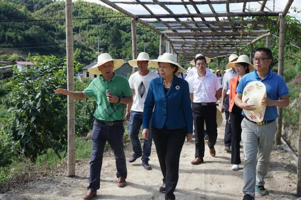 692e99d5-1c33-4be1-8319-506d3dddd4a6.jpg 692e99d5-1c33-4be1-8319-506d3dddd4a6.jpg