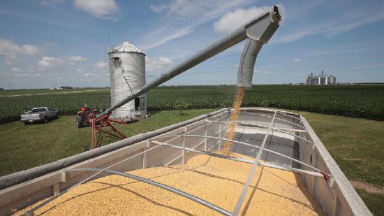 特朗普高兴的太早了!美媒:欧盟无法帮助美国解决大豆销路