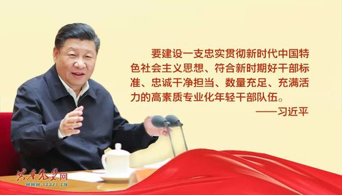 习近平论优秀年轻干部