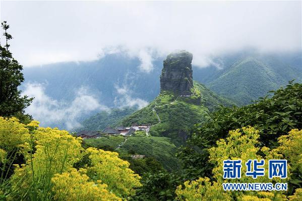 1123068074_15305801577691n 1123068074_15305801577691n