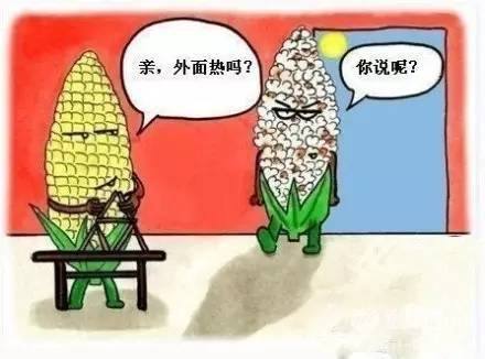 中暑为什么会死人？对中暑决不能掉以轻心！