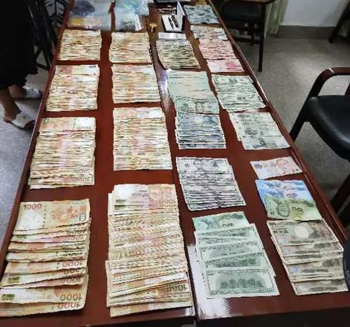 俩盗贼进别墅被惊呆:一辈子没见这么多钱 越数越怕