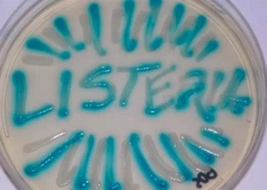 谨防冰箱里的“杀手”:李斯特菌