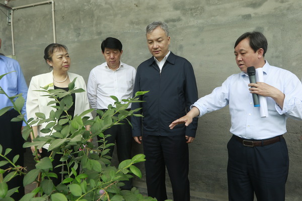 B20180806003-zx8 B20180806003-zx8