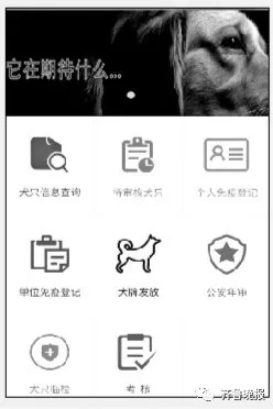 济南实行养狗计分制 百余狗主人扣满12分参加考试