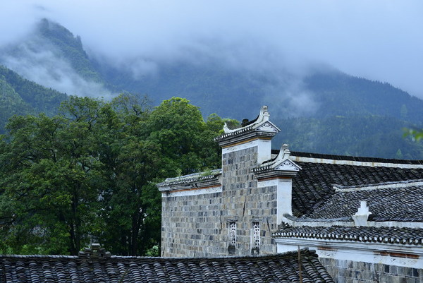 5102840993336542567 5102840993336542567