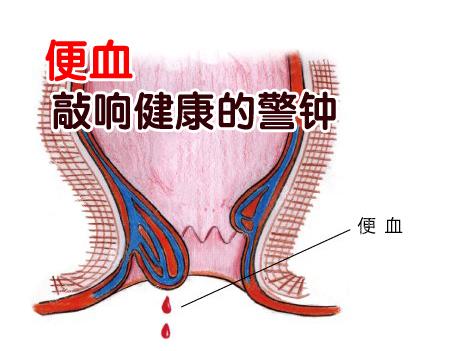 7322047773734573249 7322047773734573249