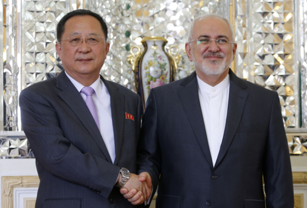 朝鲜外相李勇浩访问德黑兰 伊朗外长与其微笑握手