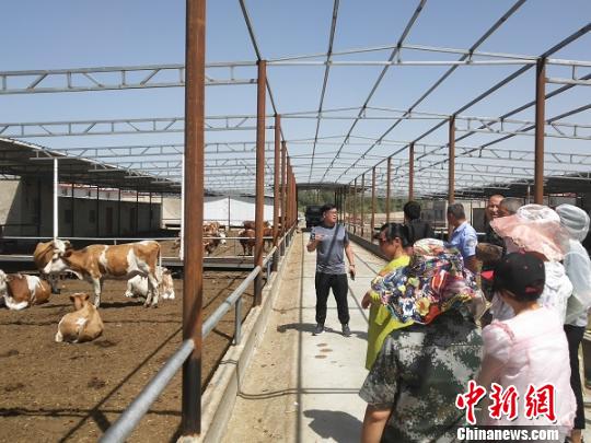 培训班组织学员实地参观开拓眼界。(资料图) 王刚 摄