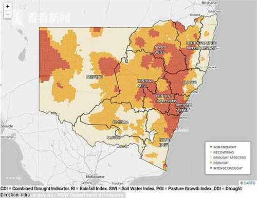 渴疯了!澳大利亚罕见干旱 上千头牛围攻运水车