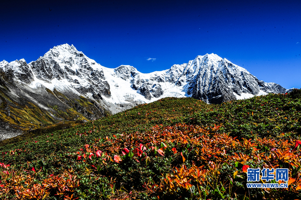 wKhTlFgF5NSECgwgAAAAAH7YYpw238 wKhTlFgF5NSECgwgAAAAAH7YYpw238