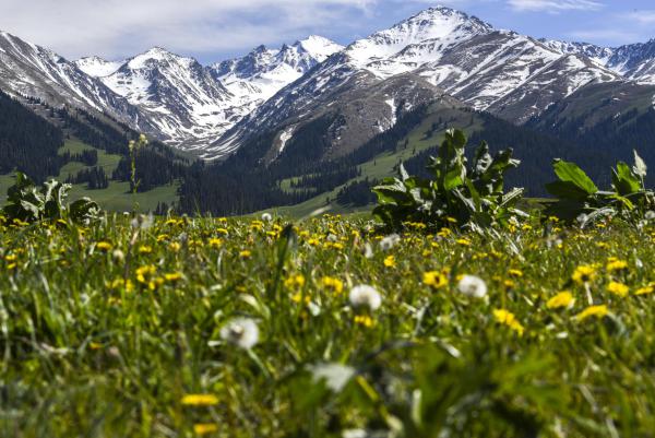 A561133AFD85D157FE54E49D668CD6FF A561133AFD85D157FE54E49D668CD6FF