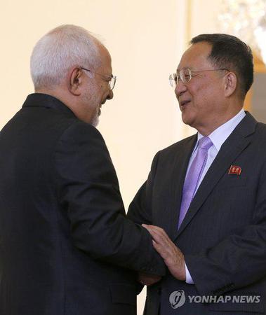 朝鲜外相李勇浩与伊朗外长扎里夫会面(韩联社)