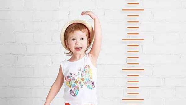 MAIN201808100948276316814061612 MAIN201808100948276316814061612