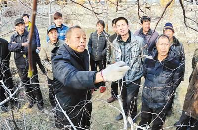 李保国在河北省内丘县岗底村向村民讲解果树修剪知识。新华社记者 朱旭东 摄
