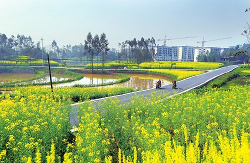 1118447148_14588975606301n 1118447148_14588975606301n