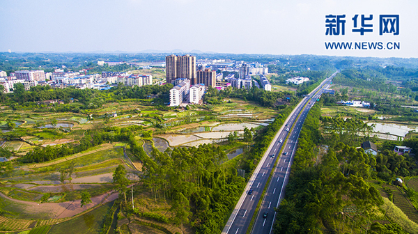 1121531855_15034907131611n 1121531855_15034907131611n