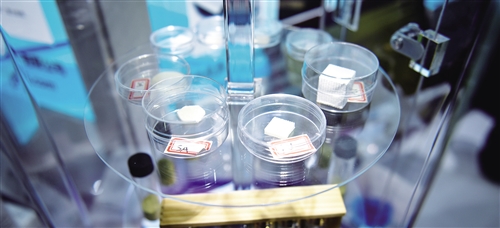 1123277601_15343810524921n 1123277601_15343810524921n