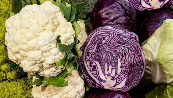 MAIN201808160923192102744506839 MAIN201808160923192102744506839