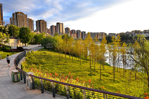 2TFB-fynfvfi1661847 2TFB-fynfvfi1661847