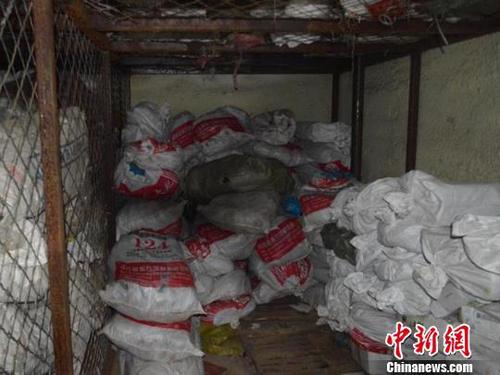 团伙售野生动物制品涉案6000万 5000余马鹿鞭被查