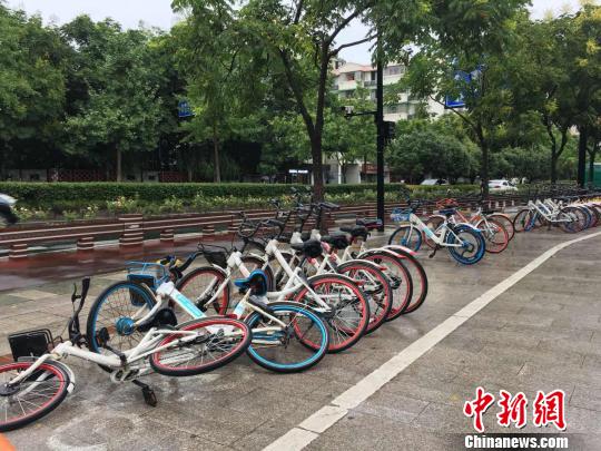 图为：被台风吹倒的共享单车?！∏糠?摄