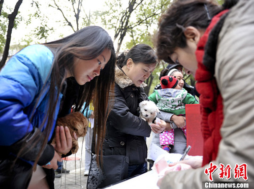 资料图:市民领养收容犬。<a target='_blank' href='http://www.chinanews.com/'>中新社</a>发 张勇 摄 点击进入下一页