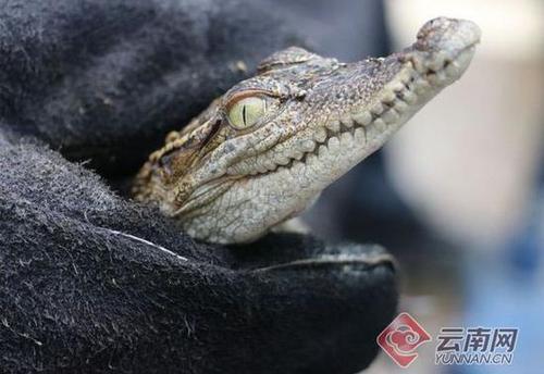 1665357102 1665357102