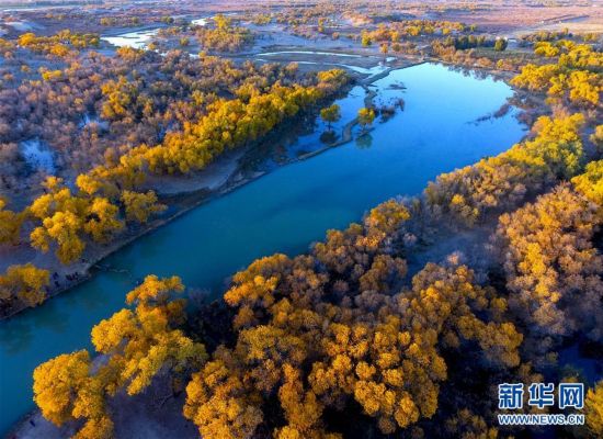 3103121638229566689 3103121638229566689