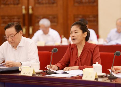 段青英委员发言。