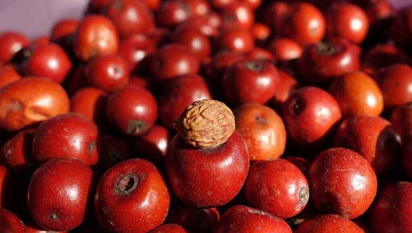 MAIN201808210930244597323219298 MAIN201808210930244597323219298