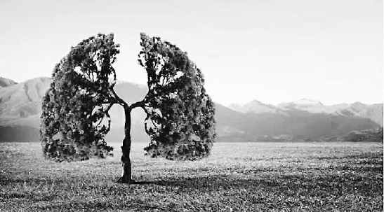 C2018-08-22zx601_P_1_502_484_1358_959 C2018-08-22zx601_P_1_502_484_1358_959