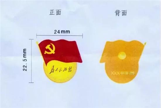 浙江嘉兴要求24万党员工作时间统一佩戴党员徽章