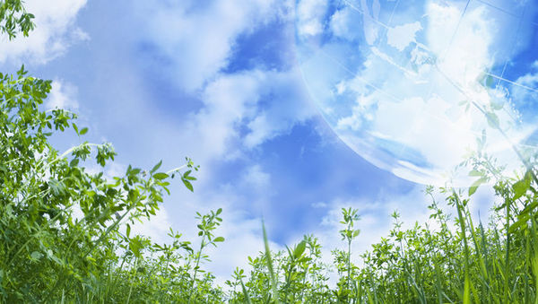 b7155518-9e75-429d-a9a9-0b98057bc178 b7155518-9e75-429d-a9a9-0b98057bc178