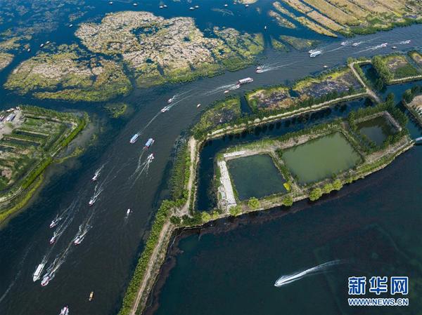 1122768520_15251820201351n 1122768520_15251820201351n